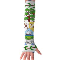 Belize Flag Long Sleeve Sun Protection Arm Sleeves Arm Cooling Sleeve Cycling Outdoor Sports Leisure