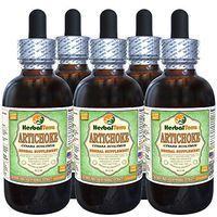 Artichoke (Cynara scolymus) Glycerite, Organic Dried Leaf Alcohol-Free Liquid Extract (Brand Name: HerbalTerra, Proudly Made in USA) 5x2 fl.oz (5x60 ml)