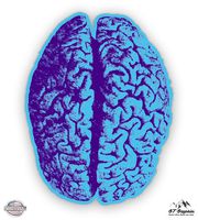GT Graphics Psychedelic Brain - 5" Vinyl Sticker - for Car Laptop I-Pad - Waterproof Decal
