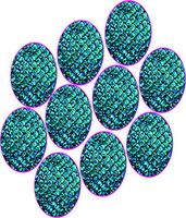 Dexcom Custom Adhesive Patches 10 Pack (Mermaid)