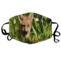 Face Mask Wolves Fox Great Cycling Half Face Earloop Nose Mask for Boys