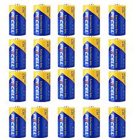 D Cell 1.5V Carbon Zinc Batteries (24 Pack)