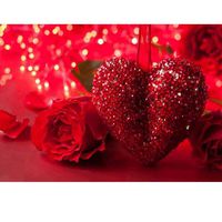 Toosvan DIY 5D Diamond Painting by Number Kits, Rhinestone Embroidery Drill Cross Stitch Kit Crystals Diamond Painting Pictures Kit Canvas Arts Craft Supply Wall Decor DIY Gift (D)