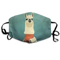 Llama Beautiful Dust Mask,Washable and Reusable Cleaning Gardening Outdoor Activities Warm Windproof Mask