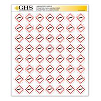 GHS/HazCom 2012: Hazard Class Pictogram Label, Gas Cylinder, 1" each (Pack of 1120)