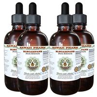 Elecampane Alcohol-Free Liquid Extract, Organic Elecampane (Inula Helenium) Dried Root Glycerite Hawaii Pharm Natural Herbal Supplement 4x4 oz