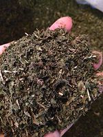 Organic Bio Herbs-Organic Dried Nettle Leaf/leaves (Urtica Dioica) 6 Oz.