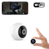 IP Camera merg (White)
