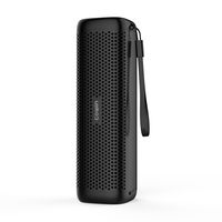 COWIN 6110 Bluetooth Speakers, Portable Wireless Speaker 4.1 with 16W Enhanced Bass, High-End Fashion Aluminum-Alloy Shell, TF Card Support - Black