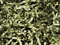 Olive Crinkle Cut Paper Shred 10 lb Box ~ Spring-fill Shred - WRAPS-ZF10OL