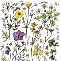 Cypress Home Wildflowers are Pretty Paper Luncheon Napkins, 40 count