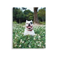 Custom Metal Wall Décor -16x20