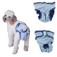 Axchongery Dog Diaper, Bitch Sanitary Pantie Pet Pantie Valco Closure for Eliminates (Blue, S)