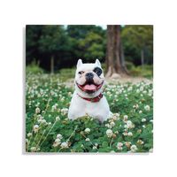 Custom Metal Wall Décor -20x20