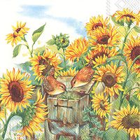 Boston International C778600 Ihr Paper Cocktail Napkins, 5" x 5"