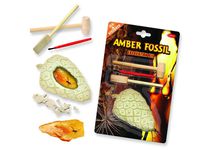 Amber Fossil Dig - Find the insects within the plaster!