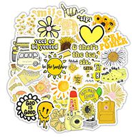 VSCO Stickers for Hydro Flask,Water Bottles,Laptop,Phone,Suitcase,Fridges.(50 pcs)