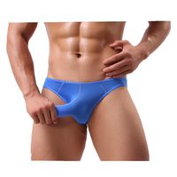 ManxiVoo Mens Sexy Elephant Bulge Briefs Underwear Pouch T Lingerie Underpants Shorts Ice Silk Knickers (L, Blue)
