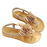 Baigoods Women Flower Summer Bohemia Sweet Sandals Clip Toe Sandals Beach Ankle Elastic Band Shoes (US:7, Beige)
