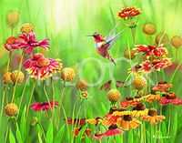 Hi-Look Microfiber Cleaning Cloth - Futus in Gallardia