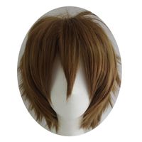 Alacos Short Fashion Dark Brown Layered Anime Cosplay Wig Halloween Christmas Carnival Dress Up Pretend Play Party Wig Gift+Cap