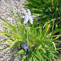 BIRUGEAR Solar Dragonfly Color Change Light E2175 (set of 2)