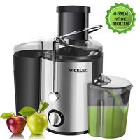 Juicer Extractor - Professional Dual Speed Wide Mouth Fruits and Vegetable Juicer Machines with Juice Jug, 600w Stainless Steel Centrifugal Juicer BPA Free