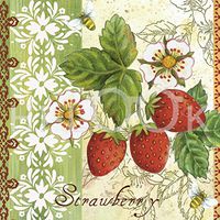 Hi-Look Microfiber Cleaning Cloth - Strawberries