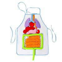 Per DIY 3D Plush Stuffed Viscera Internal Organs Model Heart+Intestine+Stomach+Liver with Transparent Apron for Kindergarten Kids Children Physiological Education Toy
