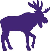 hBARSCI Moose Vinyl Decal - 5 Inches - for Cars, Trucks, Windows, Laptops, Tablets, Outdoor-Grade 2.5mil Thick Vinyl - Purple