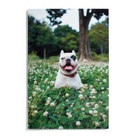 Custom Metal Wall Décor -20x30