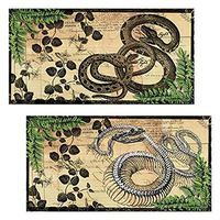 Decorative Matches, (Set of 3 Match Boxes) Long Wooden Matches,Strike Strip on Side of Box- Colored Match Tips- Candle and Fireplace Wooden Matches 4.375" x 2.35" x .75" (Vintage Snakes)
