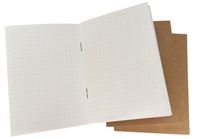Dotted Notebook Compatible with Bullet Journal Sketchbook - Set of 3 Dot Grid Inserts for Passport Size Travelers Notebook - 100gsm Paper, 192 Pages - Perfect Refill for 5.3 x 4.1'' Leather Journal
