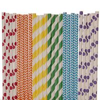 Rainbow Paper Straw Mix (100)