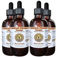 Teasel Liquid Extract, Teasel (Dipsacus fullonum) Tincture, Herbal Supplement, Hawaii Pharm, Made in USA, 4x4 fl.oz