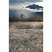 Usstore 3D DIY Painting Vinyl Fascinating Scenery Photography Studio Prop Backdrop Background Home Room Decor Decoration Art Mural (F)