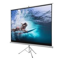 Homegear 100" Portable Projector Screen, 100 inch Diagonal Projection HD 4:3 Projection Pull Up Foldable Stand Tripod
