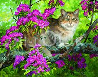 Hi-Look Microfiber Cleaning Cloth - Callies