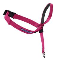PetSafe Gentle Leader Head Collar with Training DVD, MEDIUM 25-60 LBS., RASPBERRY PINK
