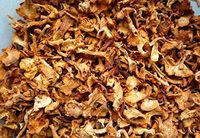 Dried chanterelle mushroom 1500 gram