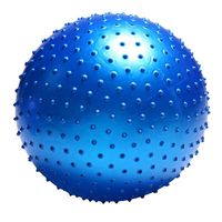 WJL Yoga Massage Ball, Restore deep Tissue Muscles Through Fitness, Ideal for myofascial Release and Trigger Point Treatment (Multiple Colors, Sizes) (Color : Blue, Size : 30in)