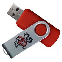 Flashscot Wisconsin Badgers Revolution USB Drive 4GB