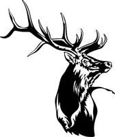 Titans unique design Elk Bull Decal #119 Vinyl Truck Window Stickers, Die Cut Vinyl Decal for Windows, Cars, Trucks, Tool Boxes, Laptops, MacBook - Virtually Any Hard, Smooth Surface, White 12 Inch
