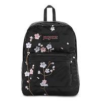 JanSport Super FX Backpack - Satin Sideline