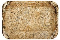 Cut Timber Plates (Large 11" x 9" Rectangle, 4-Pack) Cut Timber Collection by Havercamp