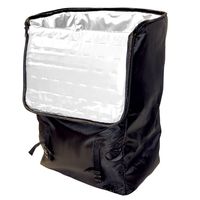 ThermalStrike Ranger Bed Bug Heater | Updated Design for 2019 | 100% Guaranteed to Reach Critical Temperature | Used by Professionals and Homeowners