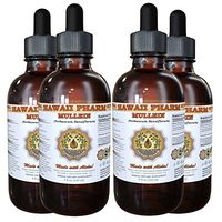 Mullein (Verbascum densiflorum) Liquid Extract 4x4 oz