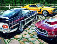 Hi-Look Microfiber Cleaning Cloth - Throughbreds