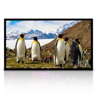 Pyle 110" Matt White Home Theater TV Wall Mounted Fixed Flat Projector Screen - 110 inch 16:9 Full HD Projection - Easy to Set Up for Room Video, Slideshow, Movie / Film Showing - PRJTPFL112