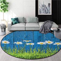 DESPKON-HOME Flower Small Round Rug Carpet,Fresh Spring Grass and Daisy On Fence Summer Simple Vintage Style Print Decor Door Mat Indoors Bathroom Mats Non Slip Diameter-51 Inch,Blue Green White